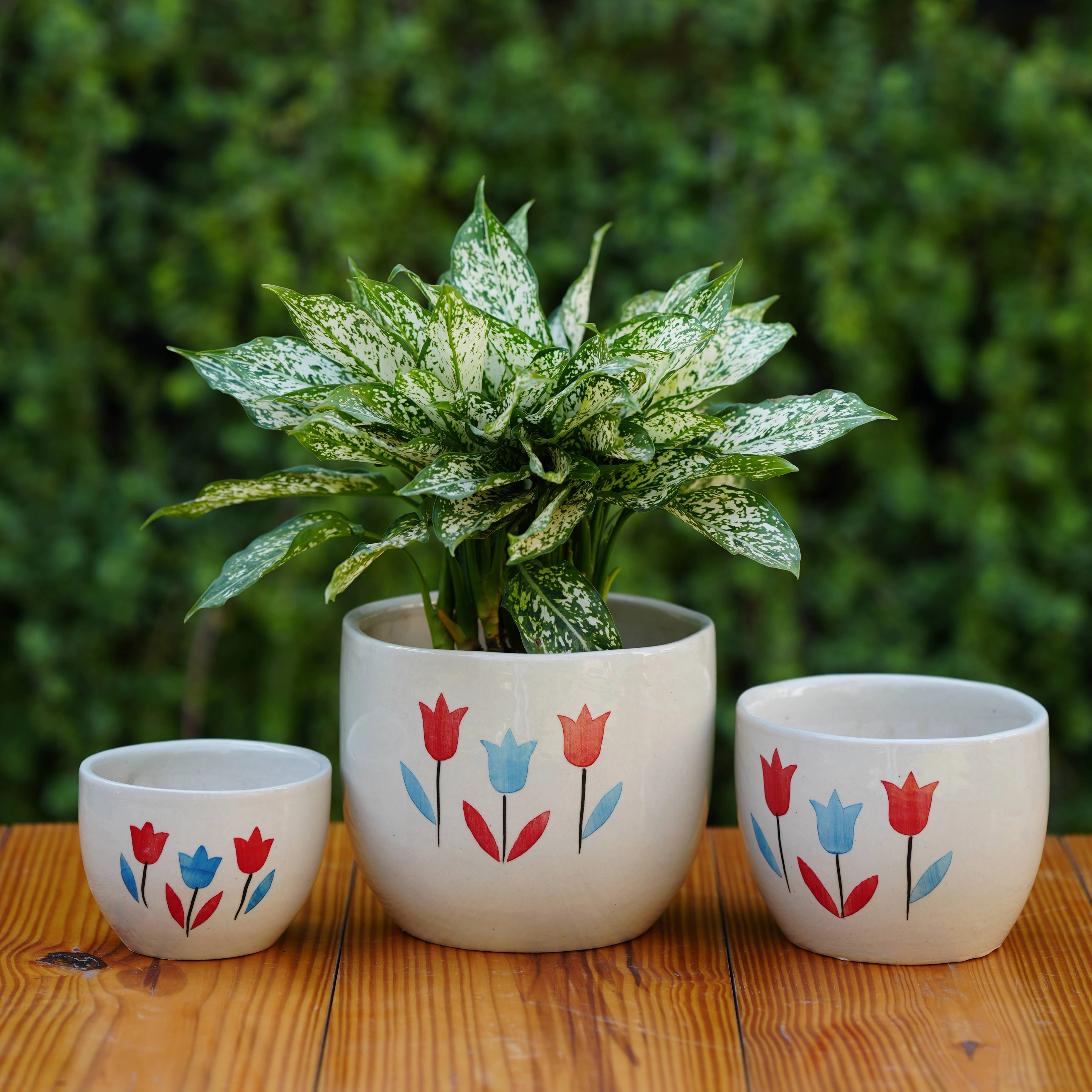 Floral Painted Ceramic Planter hanging green plant  