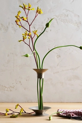 Floral Stem Holder Tall dried green plant  