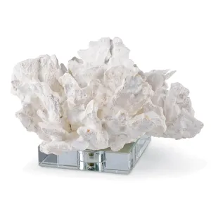 Flower Coral On Crystal Base (White) dried flowers  