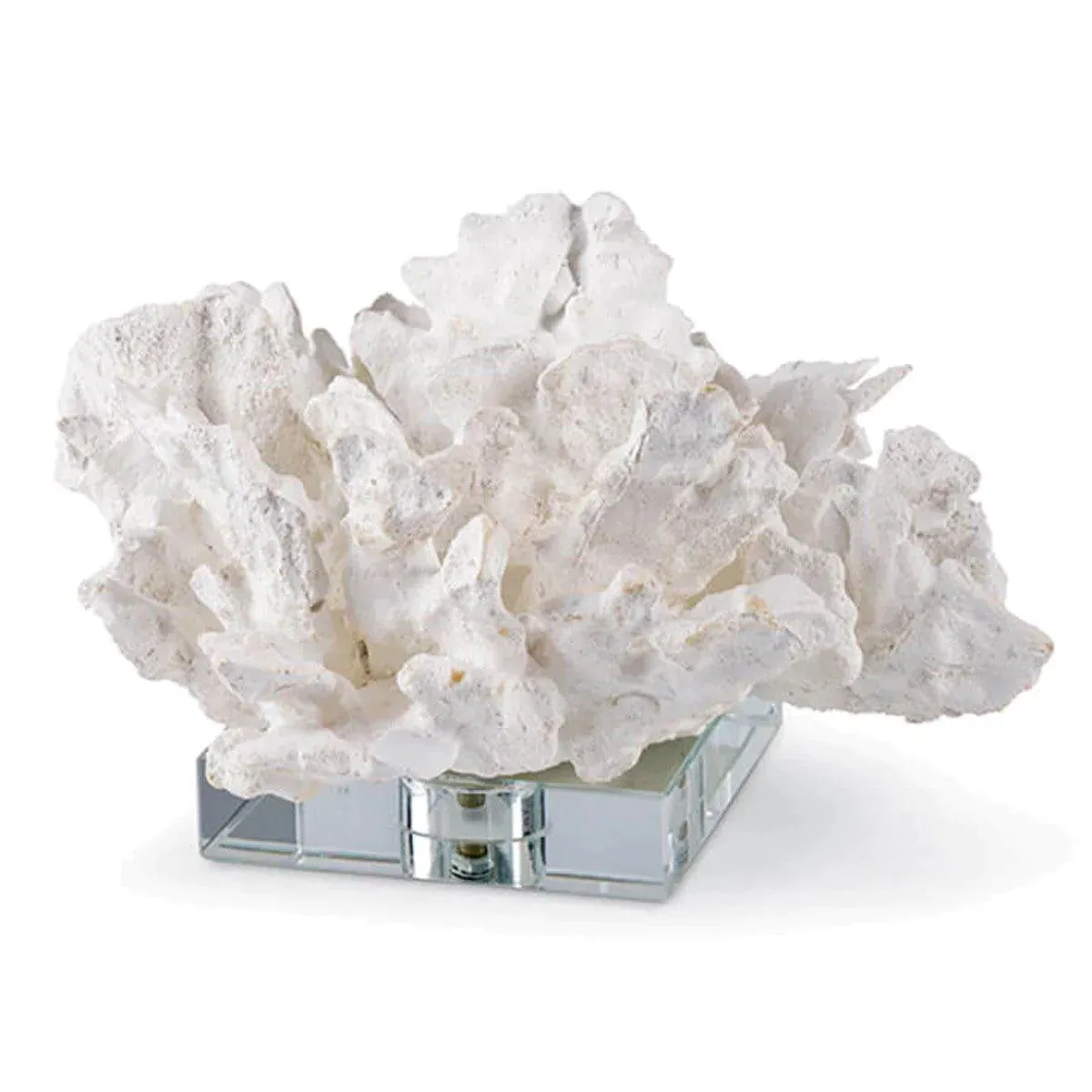 Flower Coral On Crystal Base (White) dried flowers  