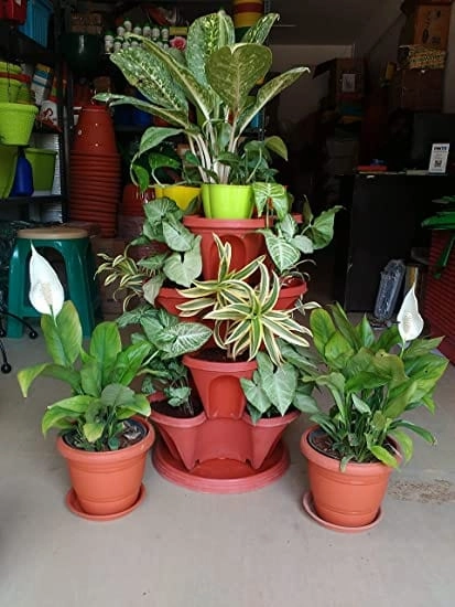 Flower Planter Set (3 Pot   1 Bottom Tray), Brown
