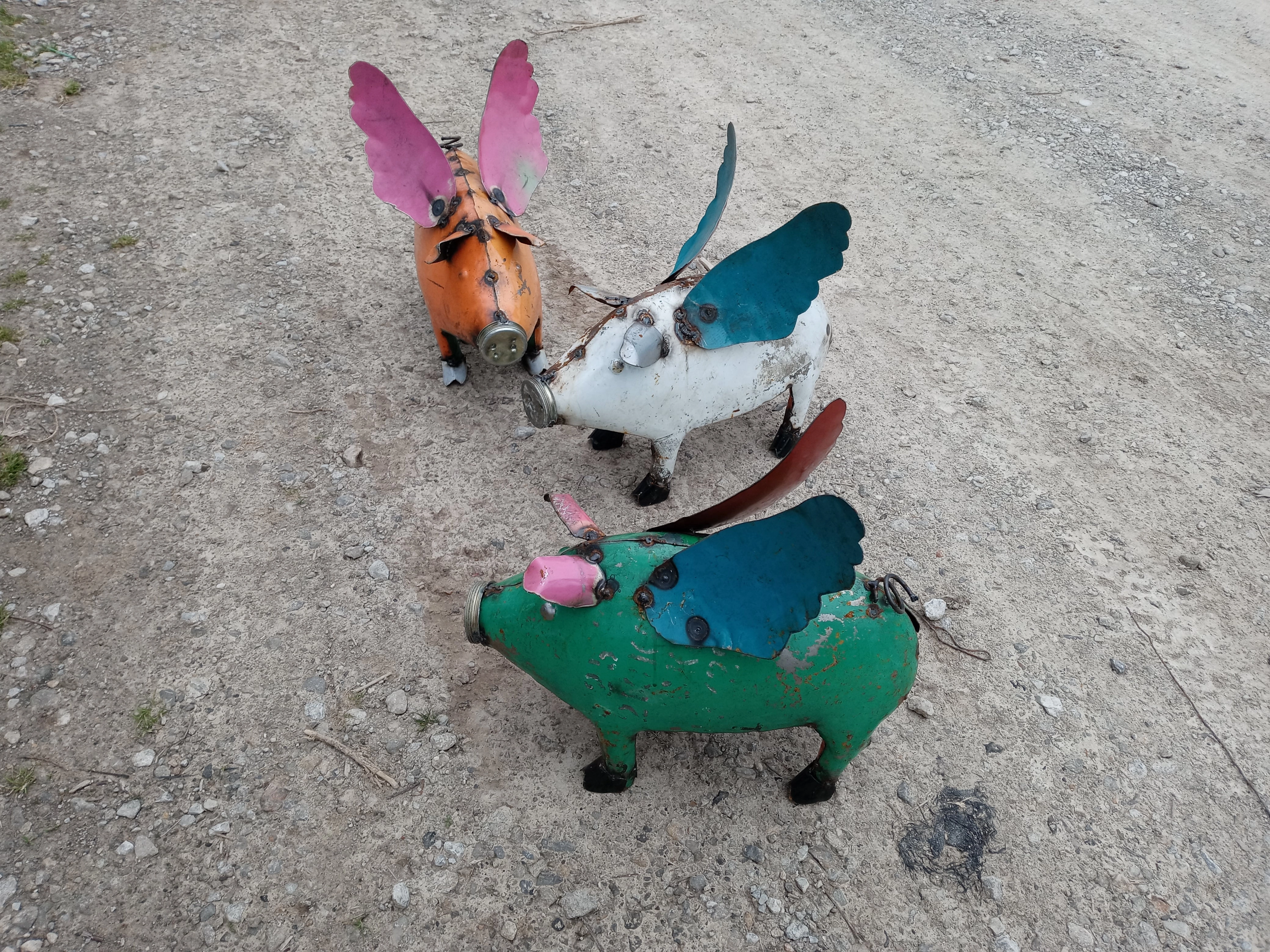 Flying Pig