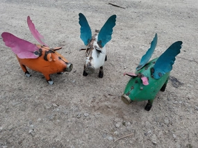 Flying Pig decorative plants  