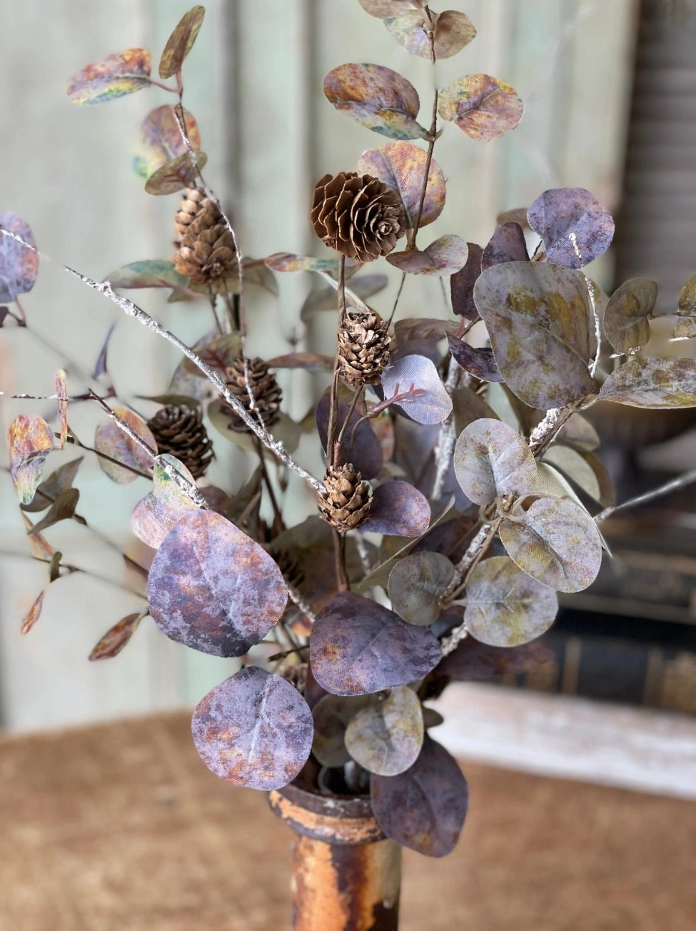 Fog Veiled Eucalyptus Bush