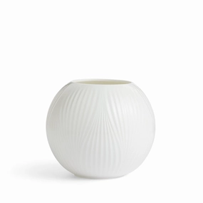 Folia - White Rose Bowl mini ornamental plant  
