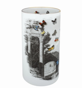Forum - Large Vase (Gift Box) mini ornamental plant  