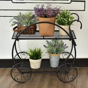 Free Form Multi-Tiered Plant Stand cactus succulent plant  