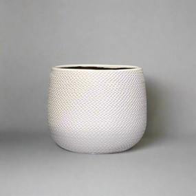 Gabriel Pot Round White plant seeds  