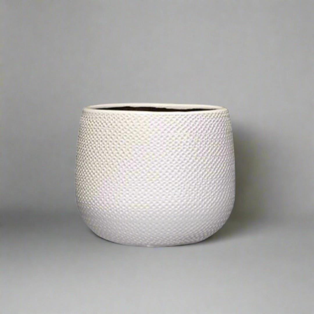 Gabriel Pot Round White plant seeds  