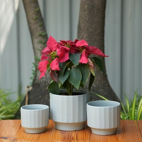 Gamla Ribbed Ceramic Planter (Grey) classic flowerpot  