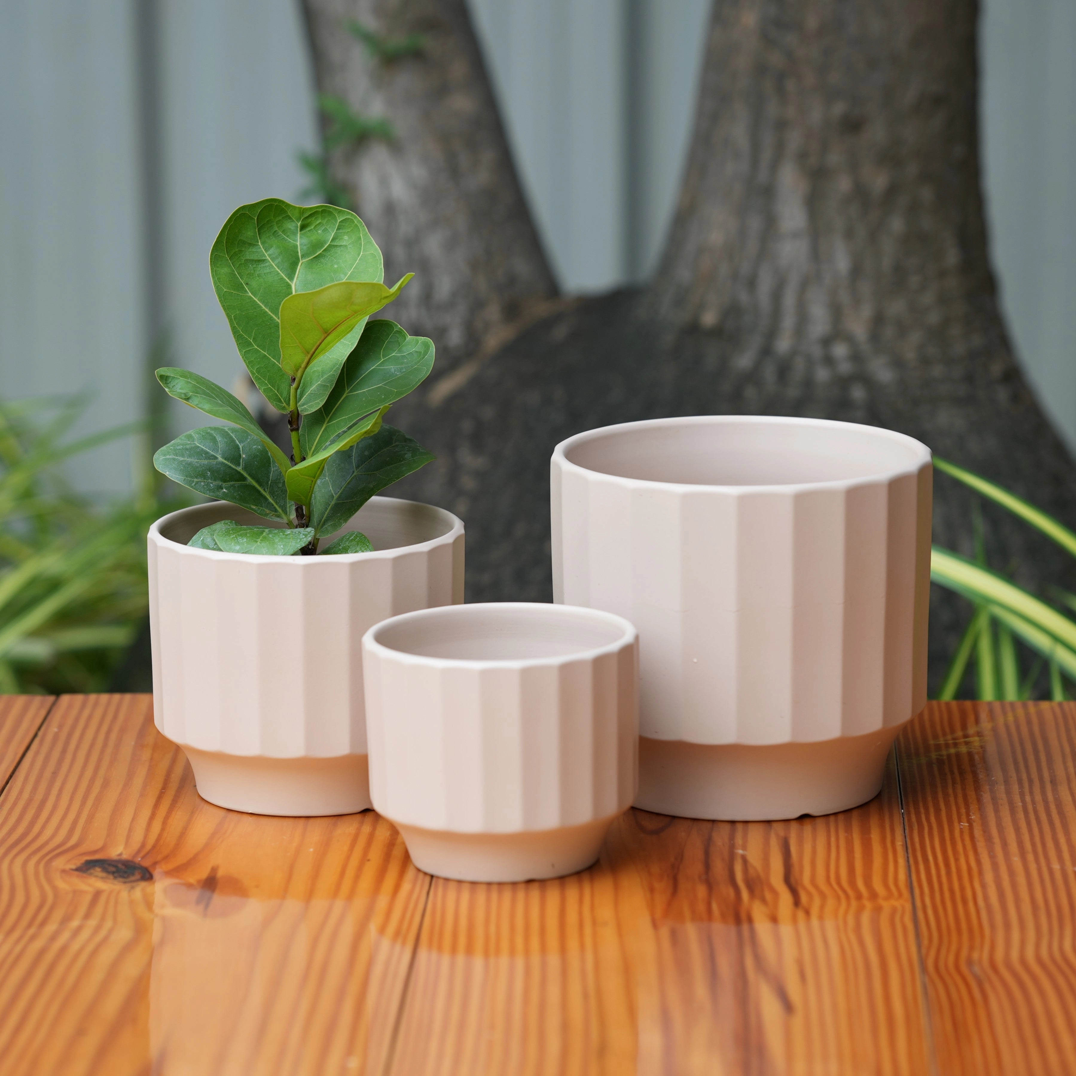 Gamla Ribbed Ceramic Planter (Light Brown) shade perennial  
