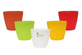 Garden 7 Inches Cloura Table Planter (MultiColor) Set of 3 shade perennial  
