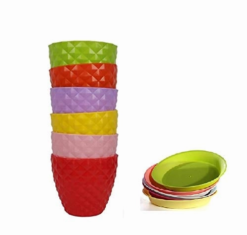 Garden Cactus Table Top Planter (Set of 5)
