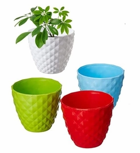 Garden Cactus Table Top Planter (Set of 5) shade perennial  