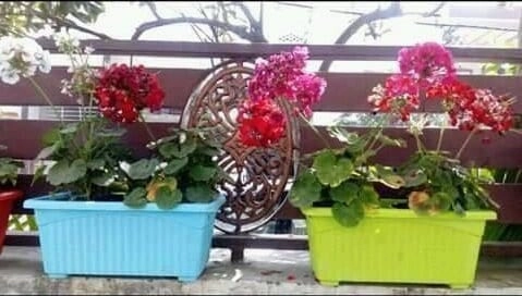 Garden Imported Window Planter (Set of 8)