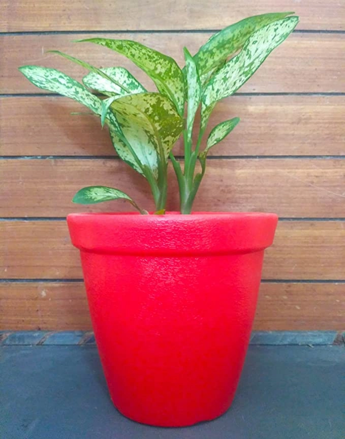 Garden Multicolor Premium Floor Planter (10 Inches), Set of 3