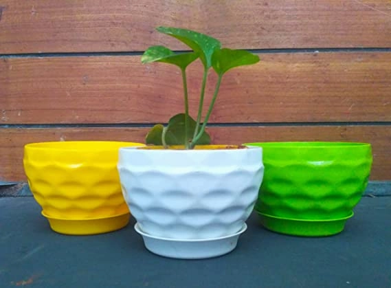 Garden Multicolor Prince Table Top Planter (Set of 5)