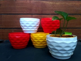 Garden Multicolor Prince Table Top Planter (Set of 5) classic flowerpot  