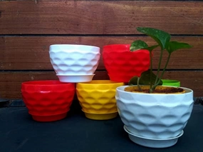Garden Multicolor Prince Table Top Planter (Set of 5) shade perennial  