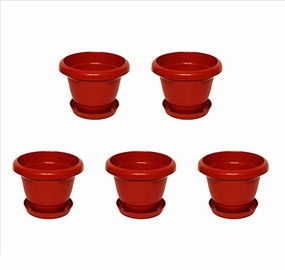 Garden Plastic Brown Planter with Tray, 5 Pieces (10 Inches) shade perennial  
