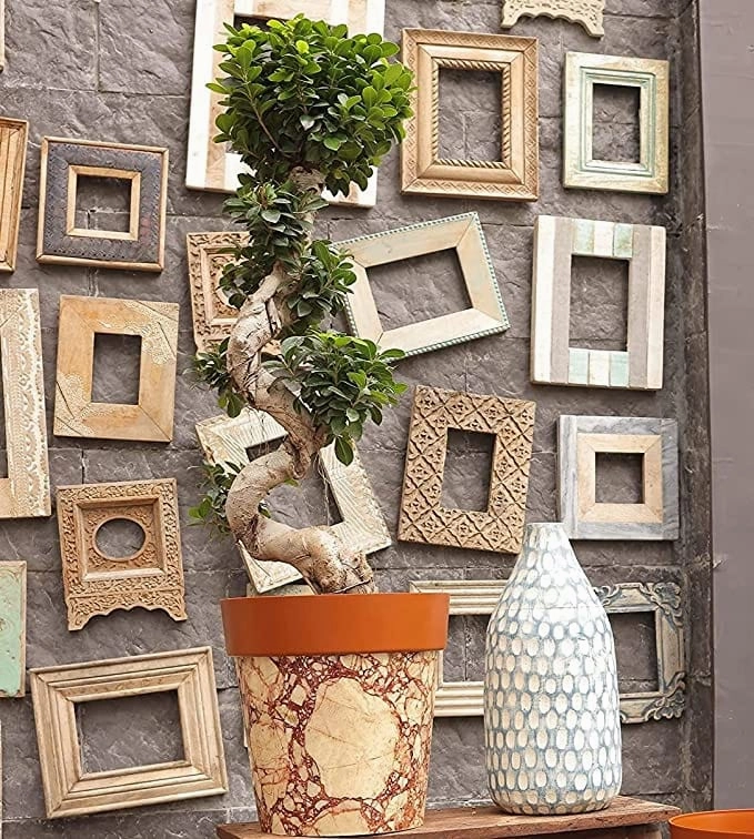 Garden Plastic Premium Planter, Multicolour (2 Pieces)