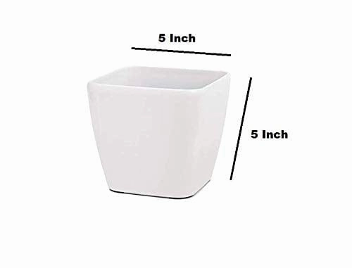 Garden Square Table Top Plastic Planter (Set of 6)