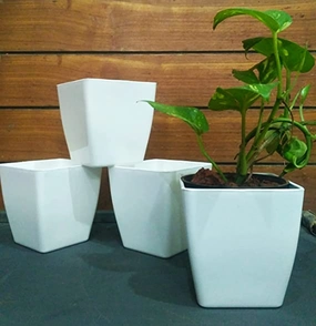 Garden Square Table Top Plastic Planter (Set of 6) shade perennial  