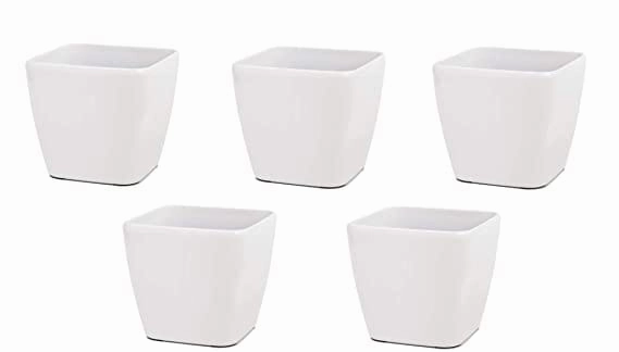 Garden Square Table Top Plastic Planter (Set of 6)