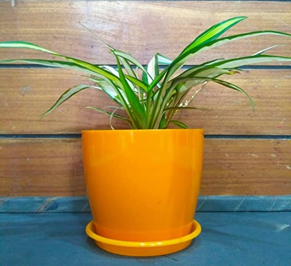 Garden Store Self Watering Table Top Planter (Multicolor, Set of 4)