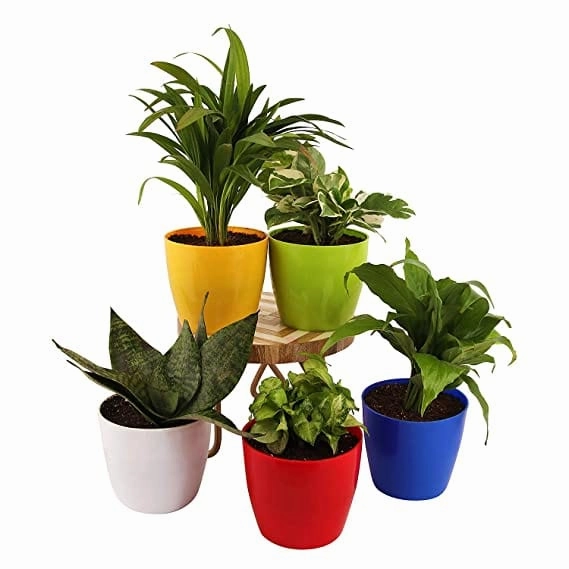 Garden Store Self Watering Table Top Planter (Multicolor, Set of 4)