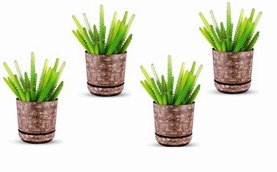 Garden Store Self Watering Table Top Planter (Multicolor, Set of 4)