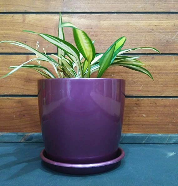 Garden Store Self Watering Table Top Planter (Multicolor, Set of 4)