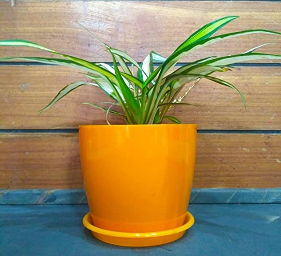 Garden Store Self Watering Table Top Planter (Multicolor, Set of 4)