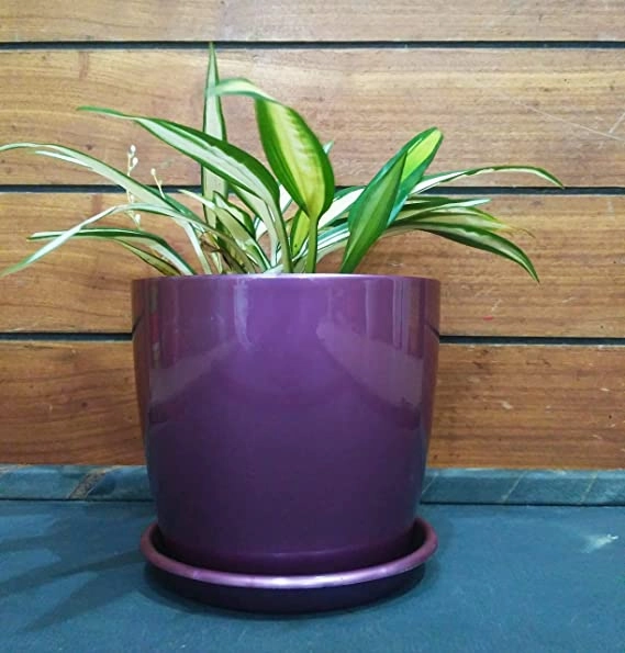 Garden Store Self Watering Table Top Planter (Multicolor, Set of 4)