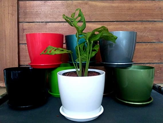 Garden Store Self Watering Table Top Planter (Multicolor, Set of 4)