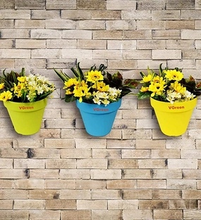 Garden Vertical Wall and Grill Hanging Planter (Multicolour) -Set of 6 classic flowerpot  