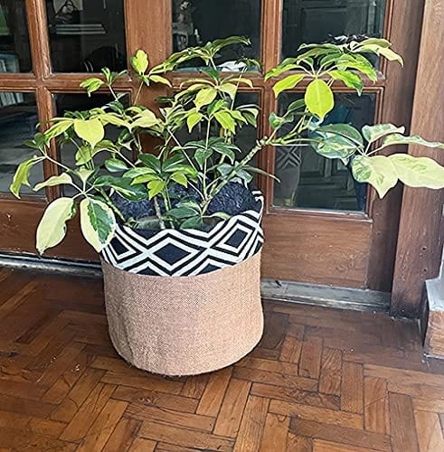 Geotextile Grow Bag with Plant Jute Cover (10.5 x 11) Inch