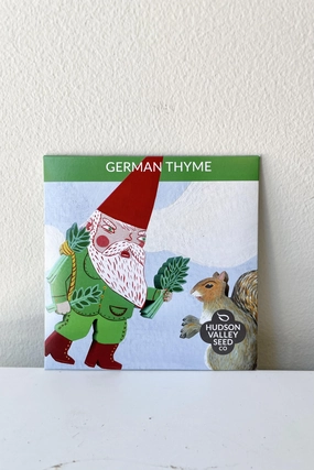 German Thyme Seeds Art Pack decorative flowerpot  