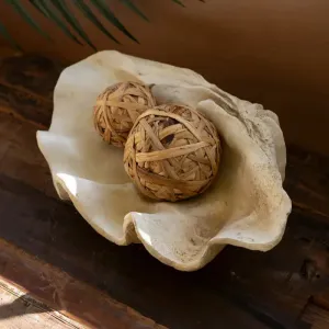 Giant Resin Clam Shell dried flowers  