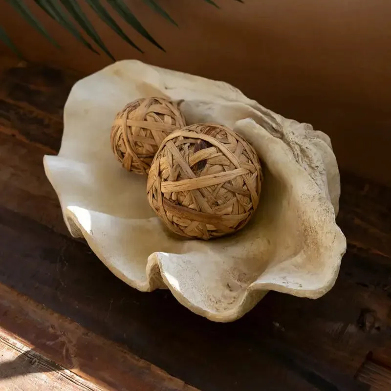Giant Resin Clam Shell dried flowers  