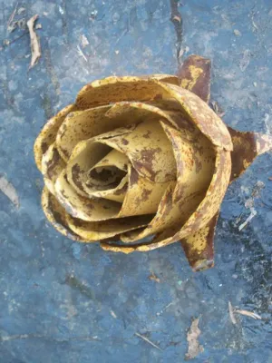 Giant Rose Head decorative plants  