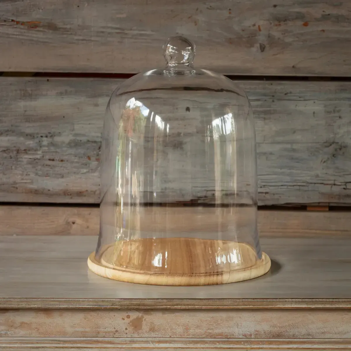 Glass Cloche With Wooden Base Set