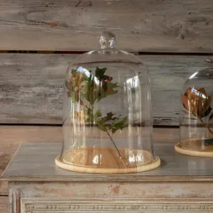 Glass Cloche With Wooden Base Set dried flowers  