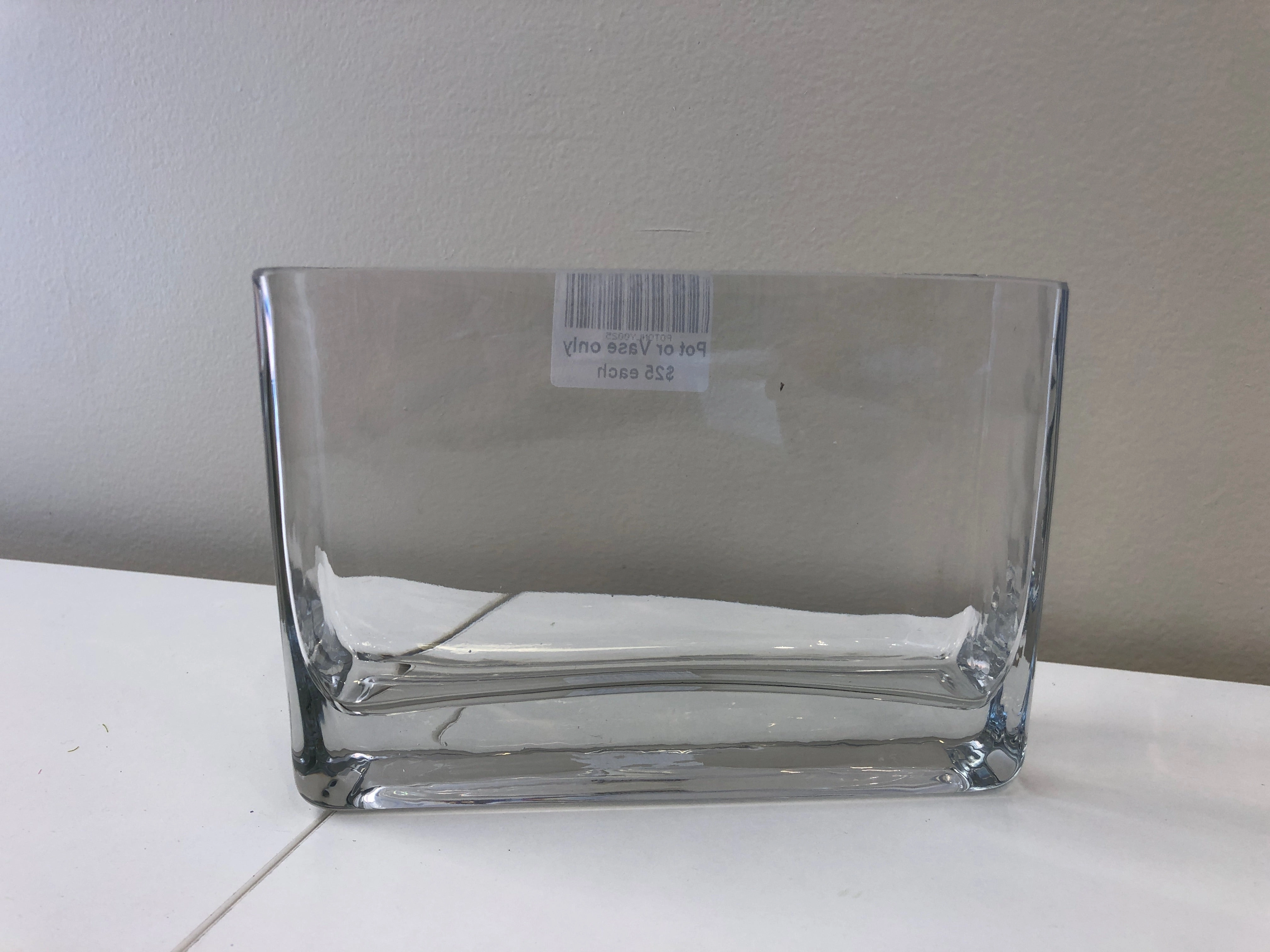 Glass Rectangle Planter / Pot (code: RECTGLA) 2 Sizes  - Clear Glass