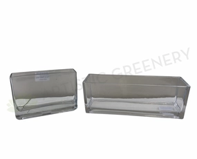 Glass Rectangle Planter / Pot (code: RECTGLA) 2 Sizes  - Clear Glass outdoor greenery  