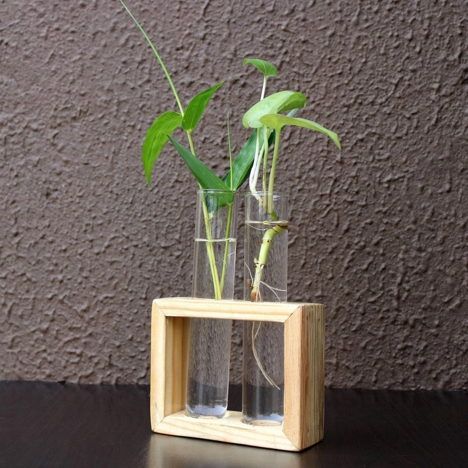Glass Test Tube Flower Vase with Wood Stand