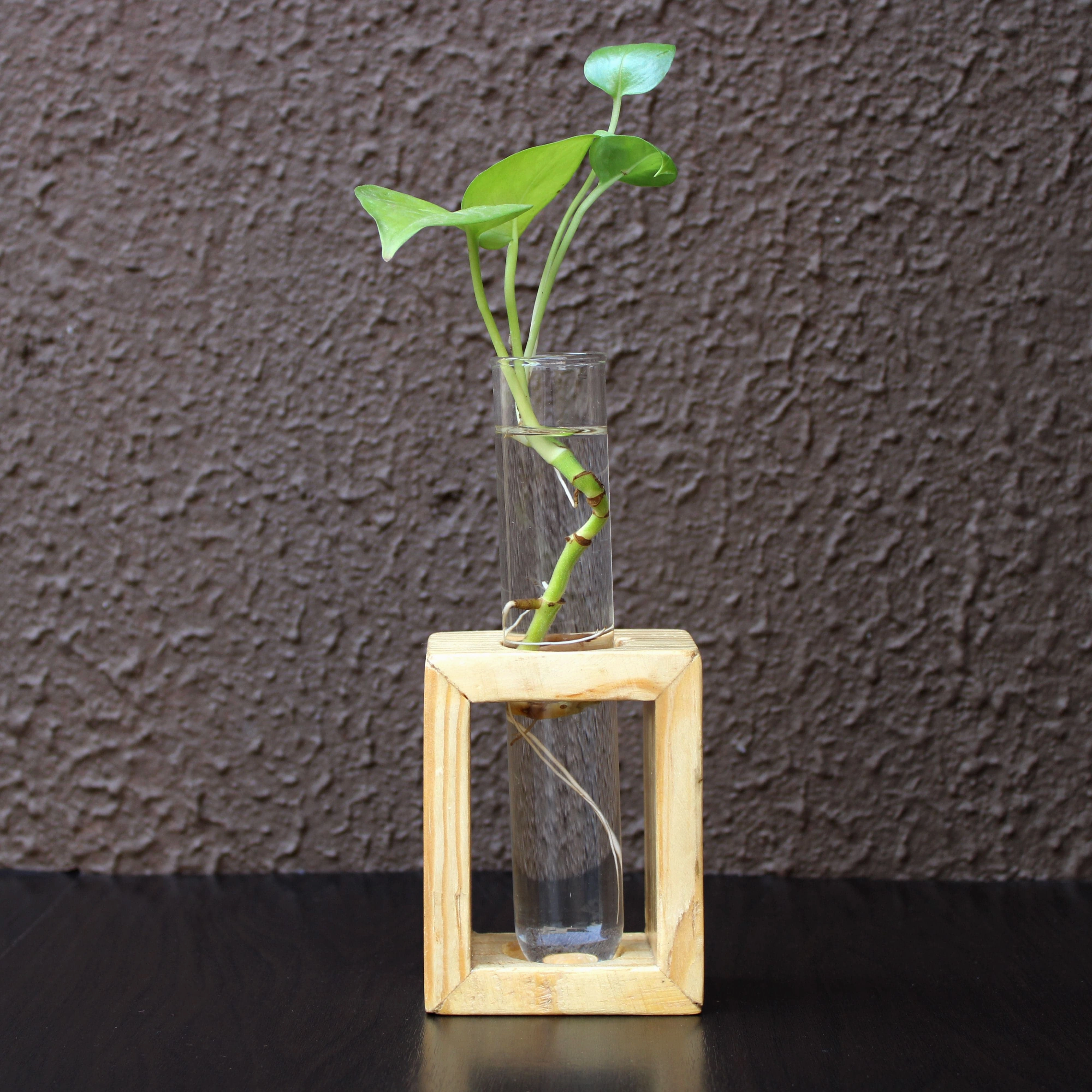 Glass Test Tube Flower Vase with Wood Stand desktop planter  