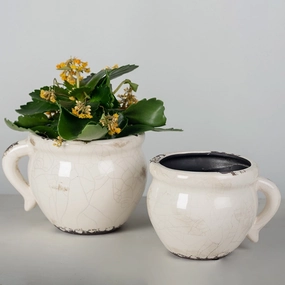 Glazed Ceramic Flower Pots With Handles outdoor greenery  
