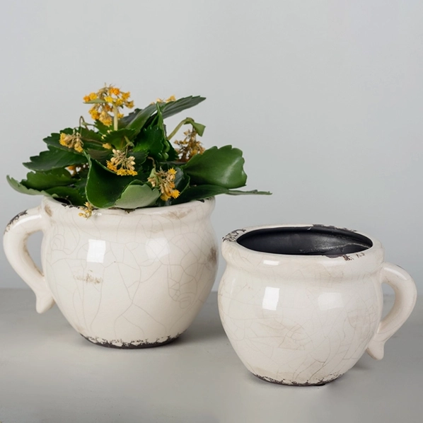 Glazed Ceramic Flower Pots With Handles outdoor greenery  
