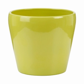 Glossy Green Indoor Ceramic Cover Pot Tropical Green (800) tall green plant  
